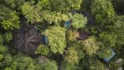 Top Punta Uva