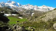Top Colunga