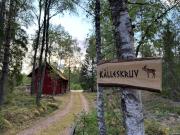 KAL159-Gullaskruv-Hetalaga-111