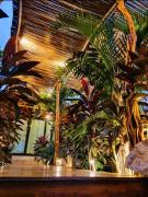 Loft Suite Altitude Cabin