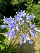 Top Fatouville-Grestain