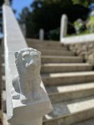 Top Bajram Curri Top Bajram Curri