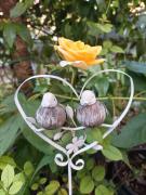 Top Carteria di Sesto Rastignano