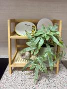 Top San Miguel de Salinas