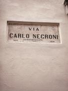 Top Novara