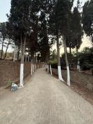 Armonia buglaow residence MARSA MDIQ