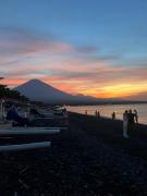 Top Amed
