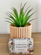 Top Rilly-la-Montagne