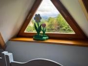 Top Zawoja Top Zawoja