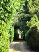 Manor Cottage Manor Cottage