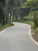 Top Mirik