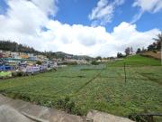 Top Ooty