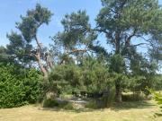 Top Banneux Top Banneux