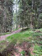 Top Fai della Paganella