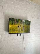 Bohemian hideout in the CBD