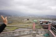 Top Ziro