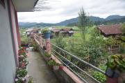 Top Ziro