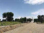 Top Morciano di Leuca