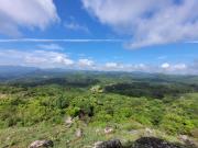 Top Vagamon