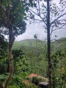 Top Vagamon