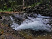 Top Vagamon