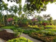Sumba Nautil Resort