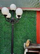 Top San Luis Potosí