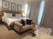 MYSA Zinc Journey by The Fern, Nani Devati