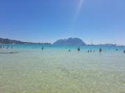 Top Porto Rotondo