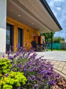 Top Dvůr Králové nad Labem