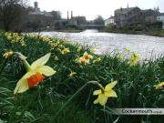 Studio No5, Cockermouth The Lakes Studio No5, Cockermouth The Lakes