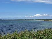 Top Humble Top Humble