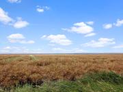 Top Højer Top Højer