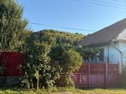 Top Petiş Top Petiş