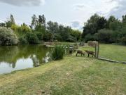 Top Saint-Benoît-sur-Loire