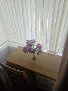 Top Bolton Top Bolton