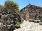 Top Buenavista del Norte