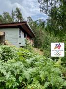 CaMugo, a chalet in the magic woods, near Cortina