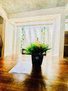 Top Puerto Escondido