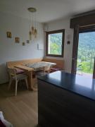 Top Perarolo di Cadore