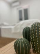 Top San Nicola Arcella