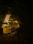 Top Santa Luzia do Pará