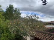 Top Estación El Salto