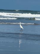 Top Ilha Comprida