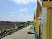 Udo Sunflower Pension