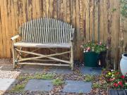 Bottle brush Fishhoek