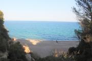 Top Miami Platja