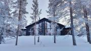 Villa Arctic Trail B - Lapland Escape with Outdoor Hot Tub & Ylläs Ski Passes