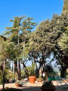 Top Foiano della Chiana