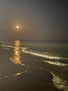 Bibione Landora Nummer 141